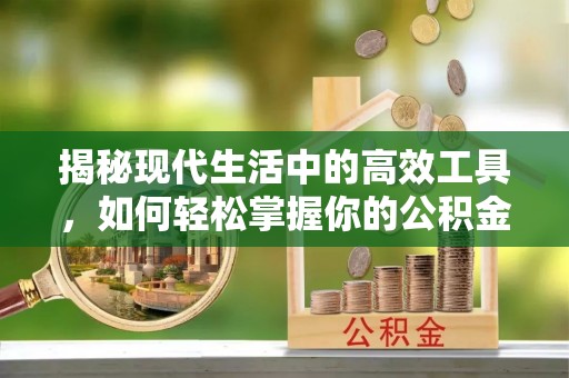 云龙揭秘现代生活中的高效工具，如何轻松掌握你的公积金查询方式