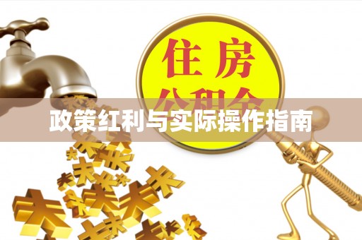 云龙政策红利与实际操作指南