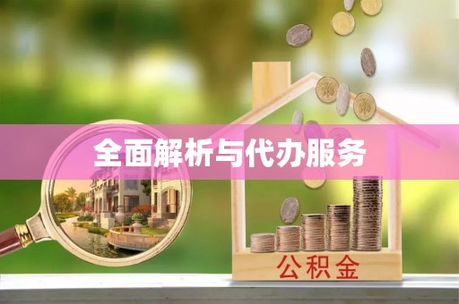 云龙全面解析与代办服务