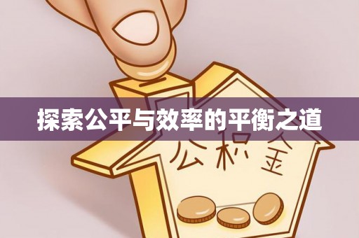 云龙探索公平与效率的平衡之道