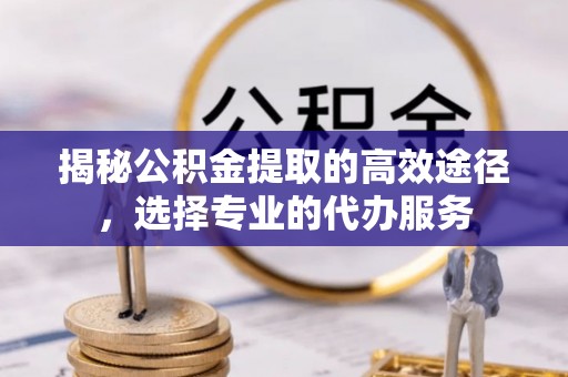 云龙揭秘公积金提取的高效途径，选择专业的代办服务