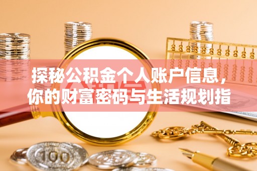 云龙探秘公积金个人账户信息，你的财富密码与生活规划指南