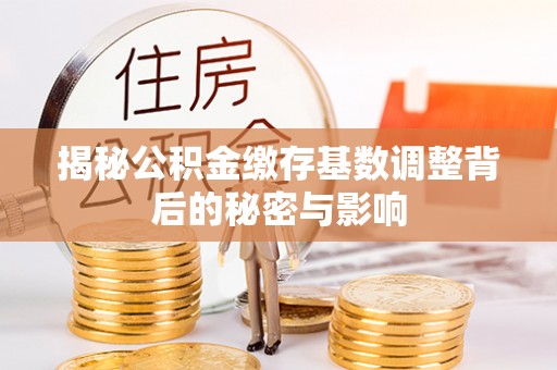 云龙揭秘公积金缴存基数调整背后的秘密与影响