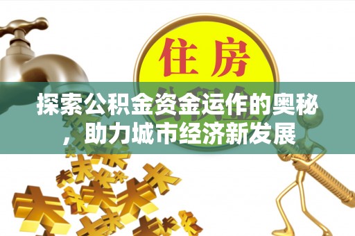 云龙探索公积金资金运作的奥秘，助力城市经济新发展