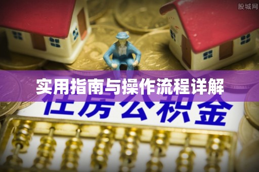 云龙实用指南与操作流程详解