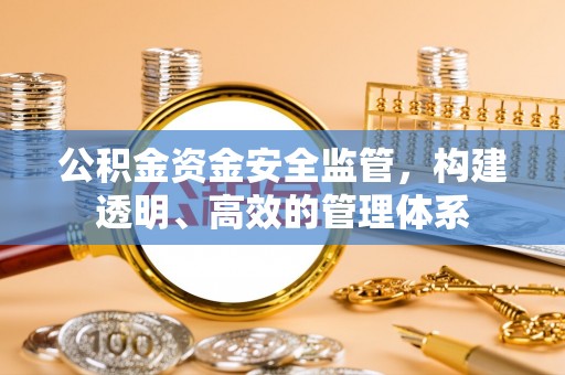 云龙公积金资金安全监管，构建透明、高效的管理体系
