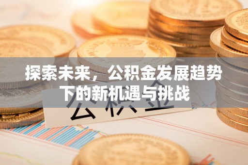 云龙探索未来，公积金发展趋势下的新机遇与挑战