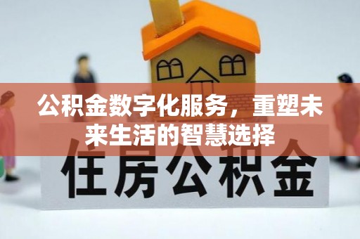 云龙公积金数字化服务，重塑未来生活的智慧选择