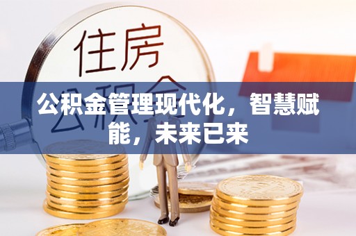 云龙公积金管理现代化，智慧赋能，未来已来