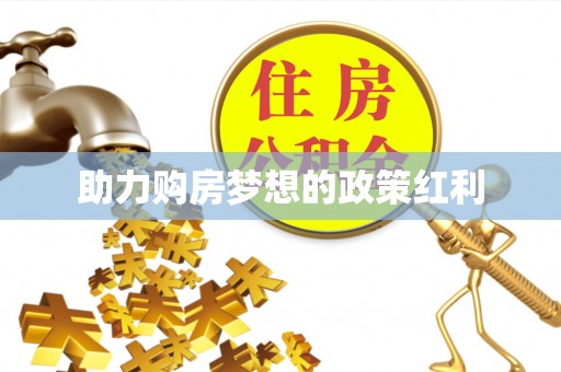 云龙助力购房梦想的政策红利