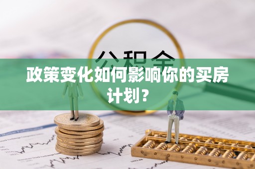 云龙政策变化如何影响你的买房计划？