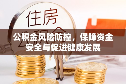 云龙公积金风险防控，保障资金安全与促进健康发展