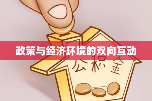 云龙政策与经济环境的双向互动