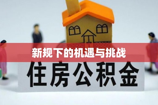 云龙新规下的机遇与挑战