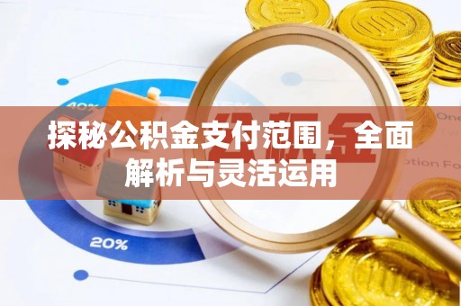 云龙探秘公积金支付范围，全面解析与灵活运用