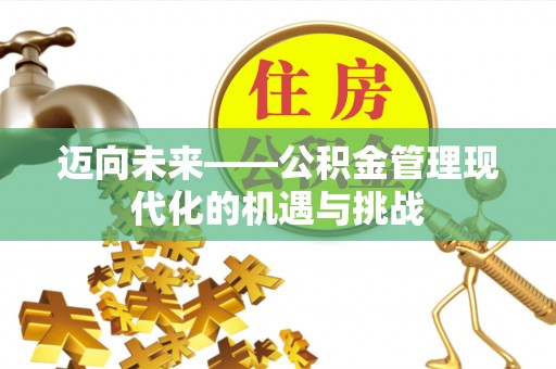 云龙迈向未来——公积金管理现代化的机遇与挑战