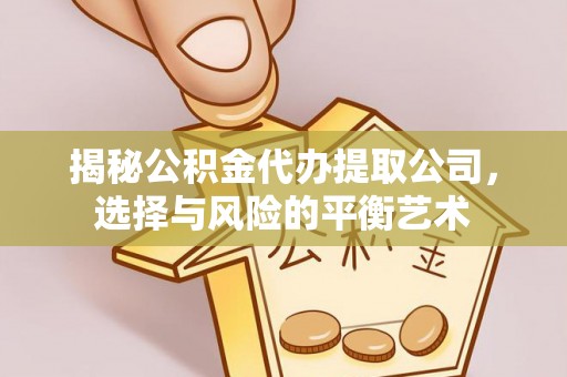 云龙揭秘公积金代办提取公司，选择与风险的平衡艺术