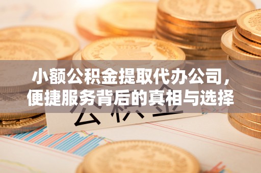 云龙小额公积金提取代办公司，便捷服务背后的真相与选择