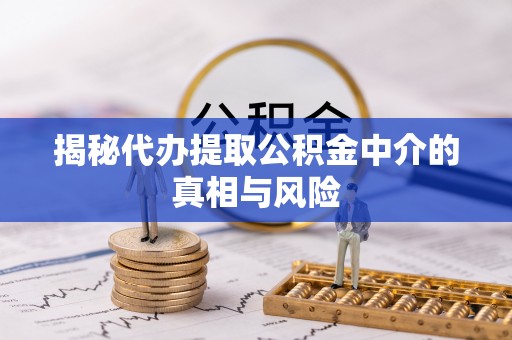 云龙揭秘代办提取公积金中介的真相与风险