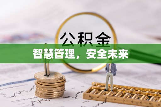 云龙智慧管理，安全未来