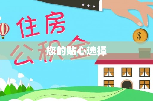 云龙您的贴心选择