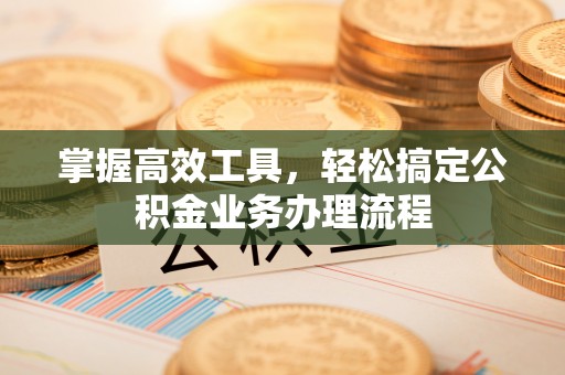 云龙掌握高效工具，轻松搞定公积金业务办理流程