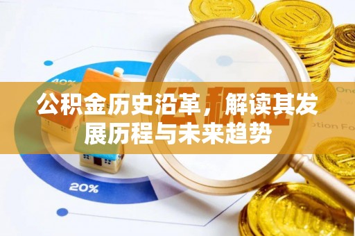 云龙公积金历史沿革，解读其发展历程与未来趋势