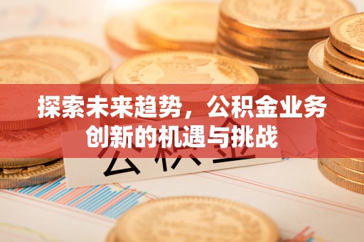 云龙探索未来趋势，公积金业务创新的机遇与挑战