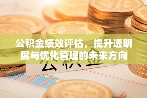 云龙公积金绩效评估，提升透明度与优化管理的未来方向