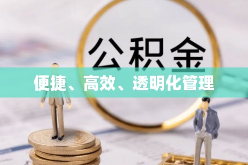 云龙便捷、高效、透明化管理