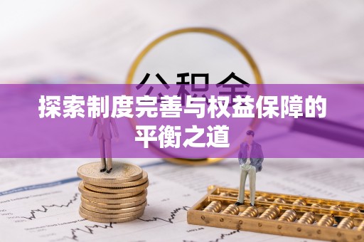 云龙探索制度完善与权益保障的平衡之道