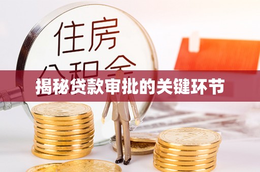 云龙揭秘贷款审批的关键环节