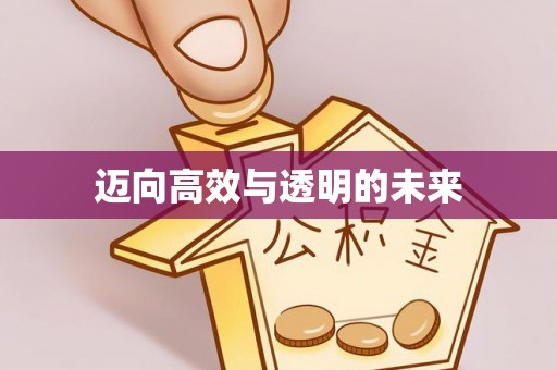 云龙迈向高效与透明的未来