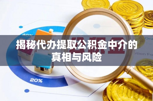 云龙揭秘代办提取公积金中介的真相与风险
