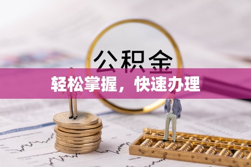 云龙轻松掌握，快速办理