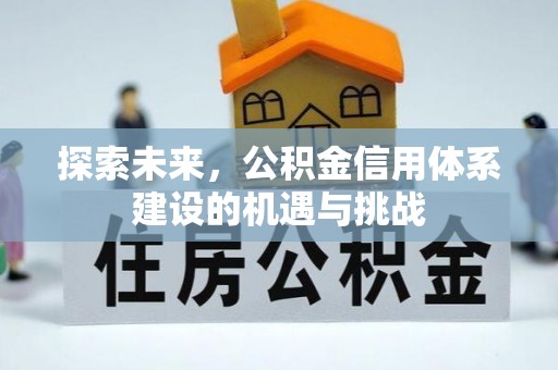 云龙探索未来，公积金信用体系建设的机遇与挑战