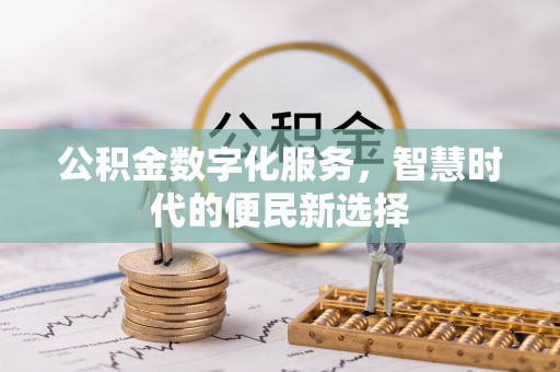 云龙公积金数字化服务，智慧时代的便民新选择