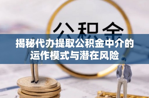 云龙揭秘代办提取公积金中介的运作模式与潜在风险