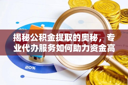 云龙揭秘公积金提取的奥秘，专业代办服务如何助力资金高效管理