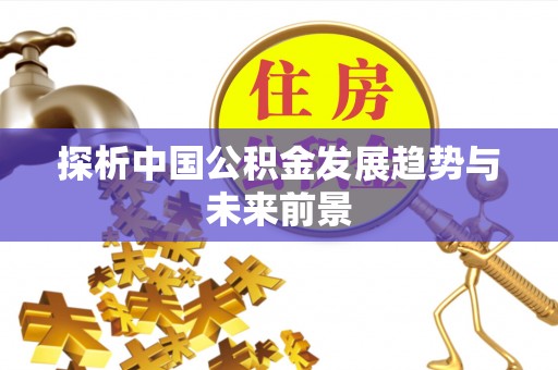 云龙探析中国公积金发展趋势与未来前景
