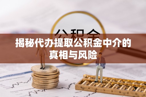 云龙揭秘代办提取公积金中介的真相与风险