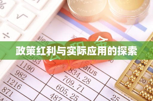 云龙政策红利与实际应用的探索