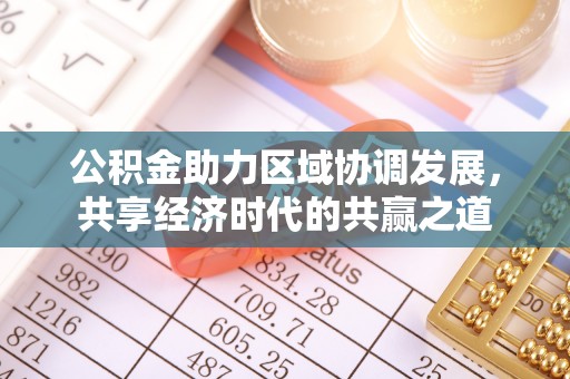 云龙公积金助力区域协调发展，共享经济时代的共赢之道