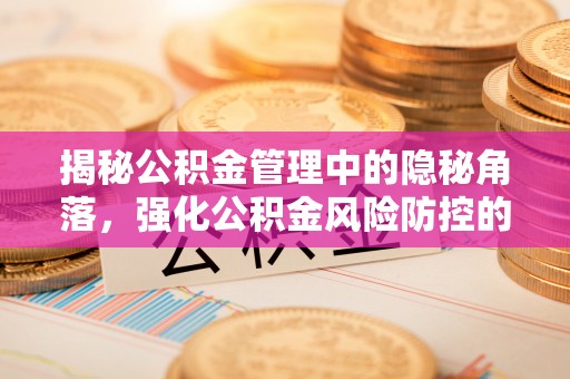 云龙揭秘公积金管理中的隐秘角落，强化公积金风险防控的必要性与路径