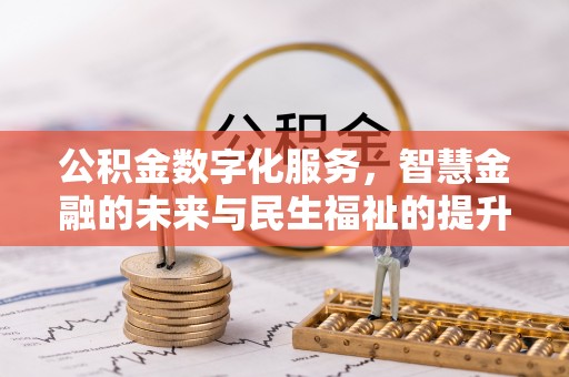 云龙公积金数字化服务，智慧金融的未来与民生福祉的提升