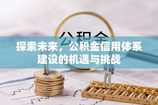 云龙探索未来，公积金信用体系建设的机遇与挑战