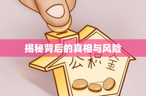 云龙揭秘背后的真相与风险