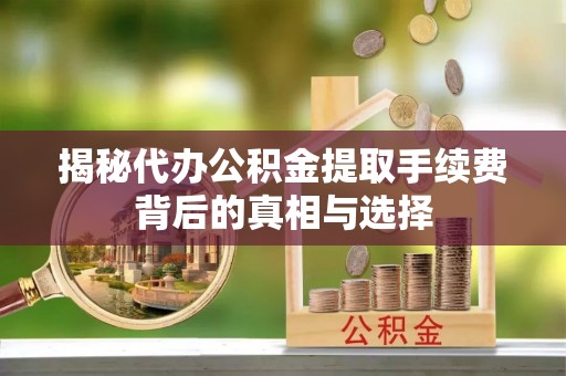 云龙揭秘代办公积金提取手续费背后的真相与选择