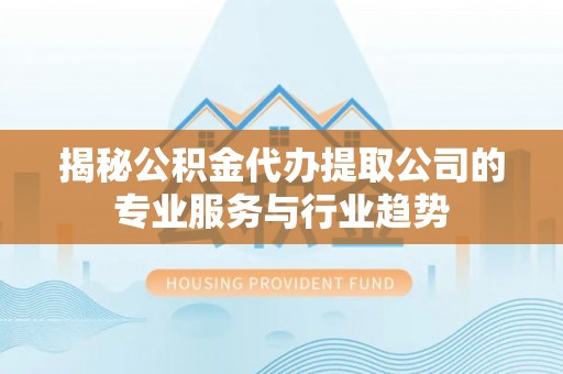 云龙揭秘公积金代办提取公司的专业服务与行业趋势