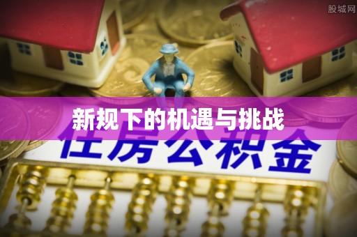 云龙新规下的机遇与挑战